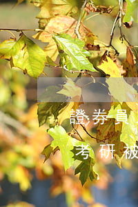 證券員工為沖業(yè)績(jī)替客戶考研被抓 代替考試罪怎么處罰？